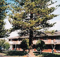 Eastern Beach Holiday Units - Accommodation Batemans Bay
