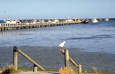 Burrungule SA Accommodation Batemans Bay