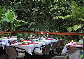 Daintree Rainforest Retreat Motel - Accommodation Batemans Bay 1