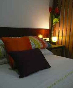 Daintree Rainforest Retreat Motel - Accommodation Batemans Bay 3