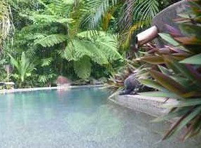 Daintree Rainforest Retreat Motel - Accommodation Batemans Bay 5