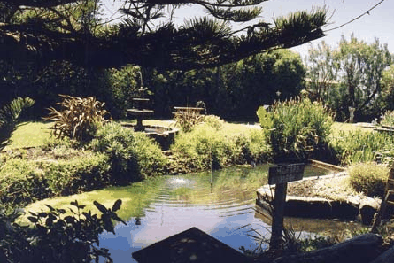 Bayside Gardens - Accommodation Batemans Bay