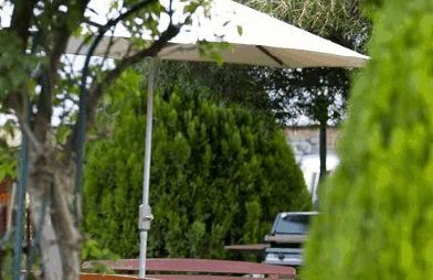 Beechworth Carriage Motor Inn - Accommodation Batemans Bay 3