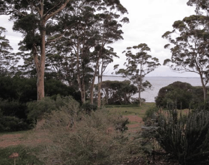 The Denmark Waterfront - Accommodation Batemans Bay