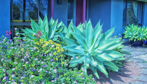 Possum Creek Lodge - Accommodation Batemans Bay 2