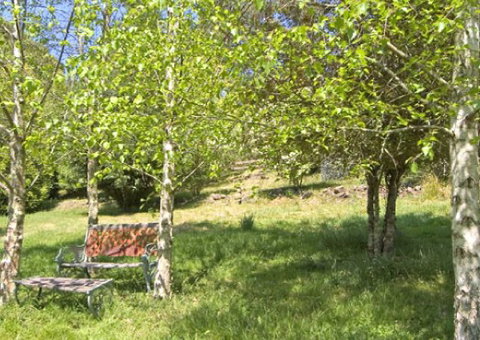 Tomah Mountain Lodge - Accommodation Batemans Bay 2