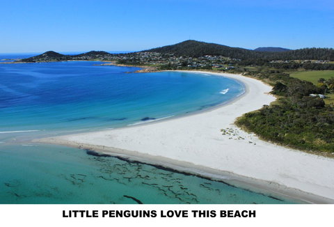 Diamond Island Resort - Accommodation Batemans Bay 5