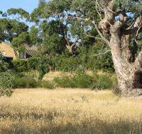 Wings Barossa Bird and Bush Retreat - Accommodation Batemans Bay