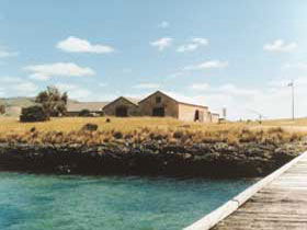 Mt Dutton Bay Woolshed Hostel - Accommodation Batemans Bay 0