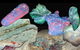 Umoona Opal Mine - thumb 1