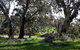 Wuthering Heights - Bronte Manor - thumb 3