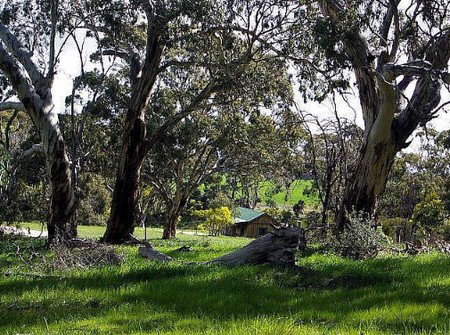 Wuthering Heights - Bronte Manor - Accommodation Batemans Bay 3