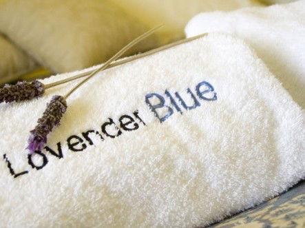 Lavender Blue Country Apartments - Accommodation Batemans Bay 3