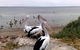 Venus Bay Caravan Park - thumb 1