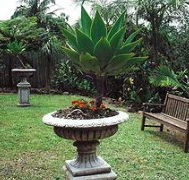 Bangalow Retreat - Accommodation Batemans Bay