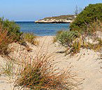 Marion Bay Caravan Park - Accommodation Batemans Bay 5
