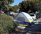 Marion Bay Caravan Park - Accommodation Batemans Bay 6
