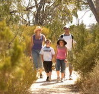 Long Island Caravan Park Cabins - Accommodation Batemans Bay