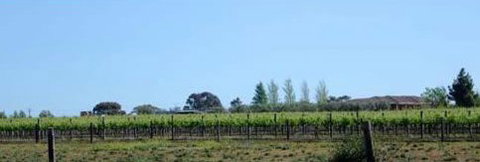 The Linear Way Bed And Breakfast - Accommodation Batemans Bay 4