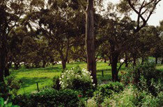 Mount Charmal Bed And Breakfast - Accommodation Batemans Bay 1