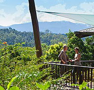Rose Gums Wilderness Retreat - Accommodation Batemans Bay