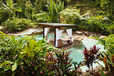 Misty Mountains Tropical Rainforest Romantic Retreat - Accommodation Batemans Bay 3