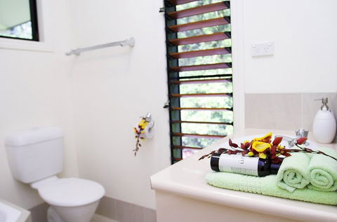 Misty Mountains Tropical Rainforest Romantic Retreat - Accommodation Batemans Bay 5