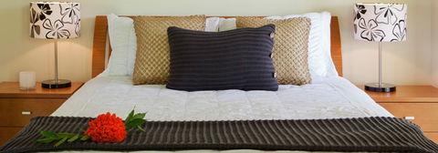 Misty Mountains Tropical Rainforest Romantic Retreat - Accommodation Batemans Bay 7