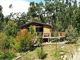 Southern Forest Accommodation - Accommodation Batemans Bay 0