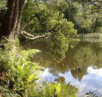 Weldborough Camping Ground - Accommodation Batemans Bay