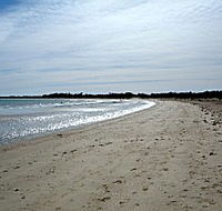 Greens Beach Caravan Park - Accommodation Batemans Bay