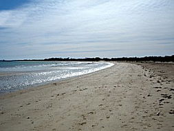 Book Greens Beach Accommodation Vacations Accommodation Batemans Bay Accommodation Batemans Bay