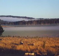 Fonthill - Accommodation Batemans Bay
