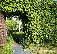Kirra Guest House - Accommodation Batemans Bay