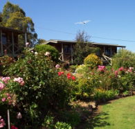 Mole Creek Holiday Village - Accommodation Batemans Bay