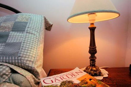 Wilmot Arms Inn - Accommodation Batemans Bay 4
