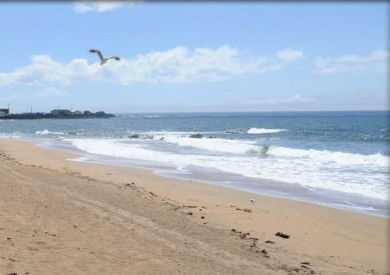 Comfort Hotel Burnie - Accommodation Batemans Bay 3