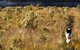 Highland Caravan Park - thumb 1