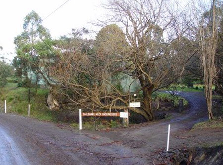 Eaglehawk Neck Backpackers - Accommodation Batemans Bay 1