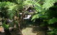 Daintree Secrets (Award Winning Retreat) - thumb 4