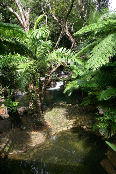 Daintree Secrets (Award Winning Retreat) - Accommodation Batemans Bay 4