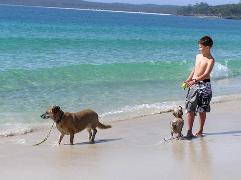A Paradise Bungalow Waterfront - Accommodation Batemans Bay 1