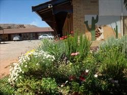 Silver Spade Motel - Accommodation Batemans Bay 3