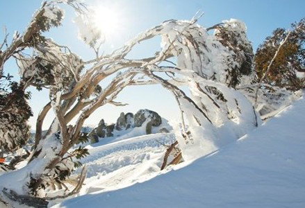 Stillwell Lodge - Accommodation Batemans Bay 1