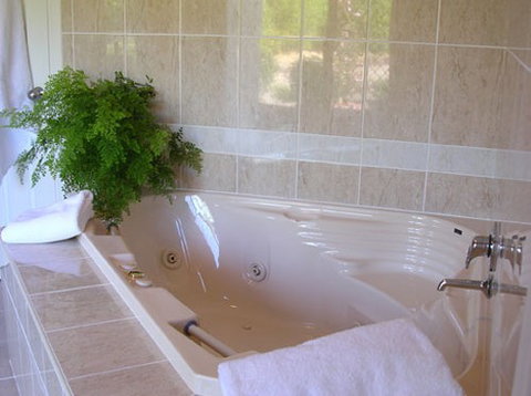 Mescals At Pampoolah Bed And Breakfast - Accommodation Batemans Bay 1