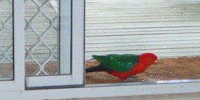 Azalea Cottage - Accommodation Batemans Bay 5
