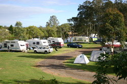 Dawson River Tourist Park - Accommodation Batemans Bay 1