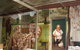 Criterion Hotel Gundagai - thumb 2
