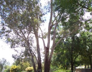 The Church House B And B - Accommodation Batemans Bay 0