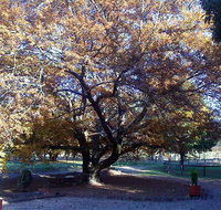 Hillview Oak Bed and Breakfast - Accommodation Batemans Bay